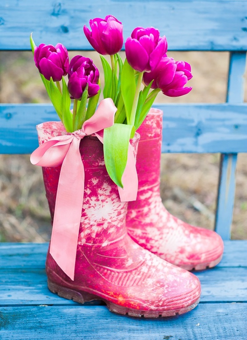 flowers flowers  / small flowers